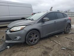 Ford Focus salvage cars for sale: 2013 Ford Focus SE