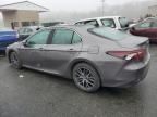 2021 Toyota Camry XLE