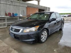 Salvage cars for sale from Copart West Palm Beach, FL: 2008 Honda Accord EXL