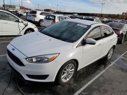 Ford Focus SE salvage cars for sale: 2017 Ford Focus SE