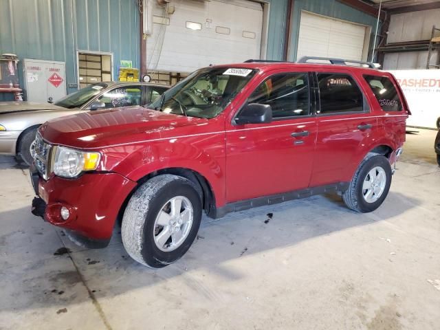 2010 Ford Escape XLT