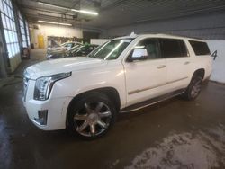 Cadillac Escalade salvage cars for sale: 2016 Cadillac Escalade ESV Luxury