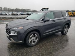 Hyundai Santa FE salvage cars for sale: 2021 Hyundai Santa FE SE