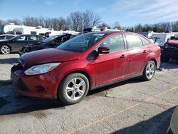 Salvage cars for sale at auction: 2013 Ford Focus SE