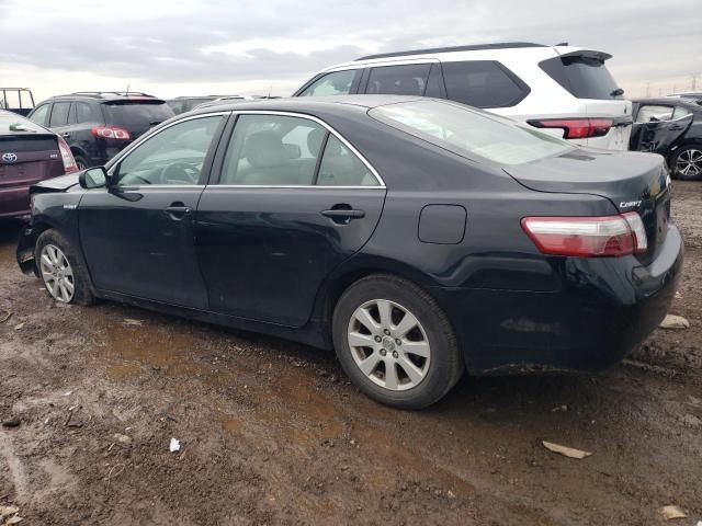 2009 Toyota Camry Hybrid