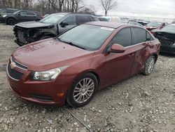 Salvage cars for sale from Copart Cicero, IN: 2012 Chevrolet Cruze ECO