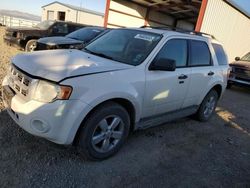 Salvage cars for sale at Helena, MT auction: 2009 Ford Escape XLT