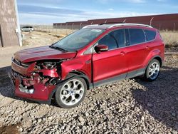 Salvage cars for sale at Rapid City, SD auction: 2016 Ford Escape Titanium