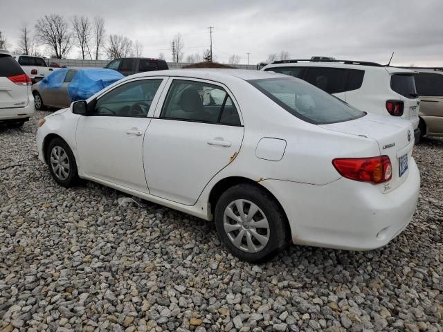 2010 Toyota Corolla Base