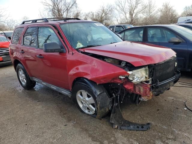 2009 Ford Escape XLT