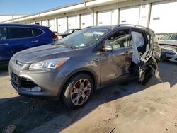 Salvage cars for sale at Louisville, KY auction: 2014 Ford Escape Titanium