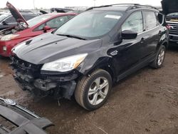 Ford Escape SE salvage cars for sale: 2013 Ford Escape SE