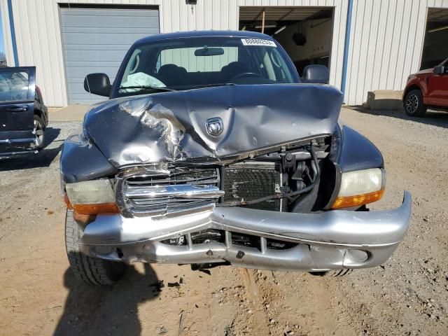 2004 Dodge Dakota Quad SLT