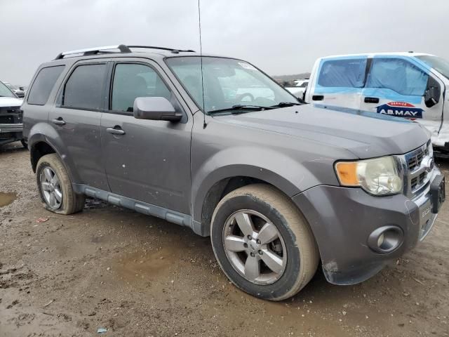 2012 Ford Escape Limited