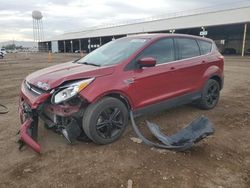 Salvage cars for sale at Phoenix, AZ auction: 2016 Ford Escape SE
