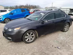 Salvage cars for sale at Lawrenceburg, KY auction: 2014 Acura TL