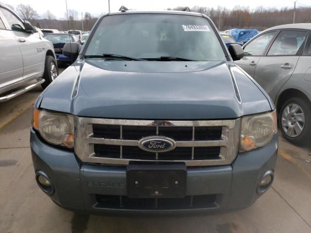 2011 Ford Escape XLT