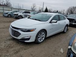 Salvage cars for sale at Lansing, MI auction: 2019 Chevrolet Malibu LT