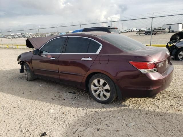 2010 Honda Accord EXL