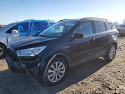 Vehiculos salvage en venta de Copart Hillsborough, NJ: 2019 Ford Escape SEL