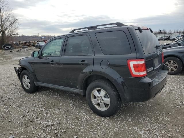 2010 Ford Escape XLT