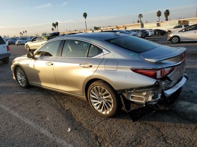 2019 Lexus ES 300H