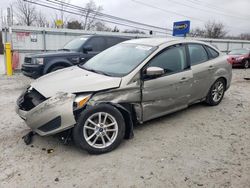 Ford Focus SE salvage cars for sale: 2015 Ford Focus SE