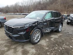 Salvage cars for sale at Marlboro, NY auction: 2024 Honda CR-V EX