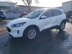 Salvage cars for sale from Copart Albuquerque, NM: 2020 Ford Escape SE