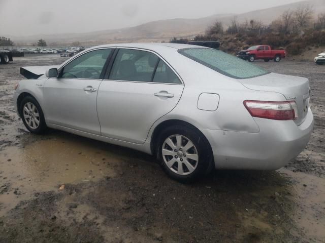 2008 Toyota Camry Hybrid