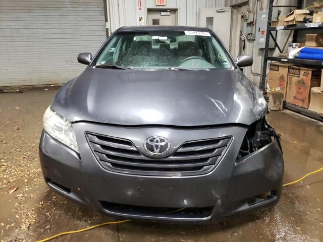 2009 Toyota Camry SE