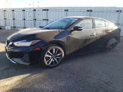 Salvage cars for sale at Amarillo, TX auction: 2020 Nissan Maxima SV