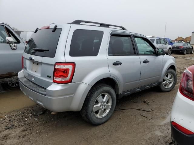 2012 Ford Escape XLT