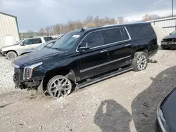 Salvage cars for sale at Lawrenceburg, KY auction: 2017 Cadillac Escalade ESV Platinum