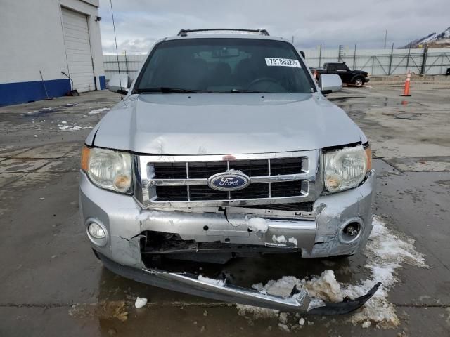 2010 Ford Escape Limited