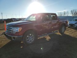 Salvage cars for sale at Greenwood, NE auction: 2014 Ford F150 Supercrew