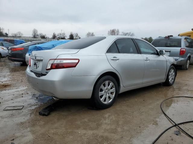 2009 Toyota Camry Hybrid