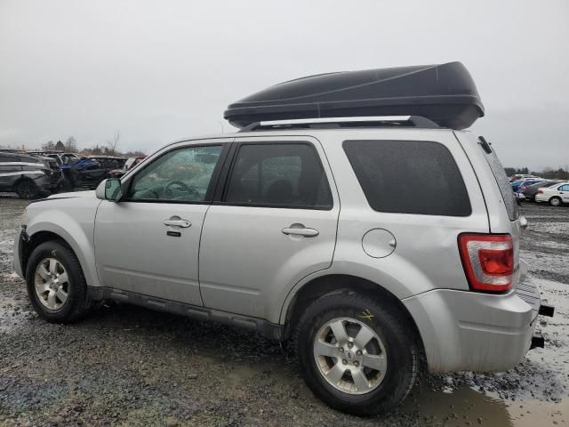 2010 Ford Escape Limited