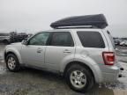 2010 Ford Escape Limited