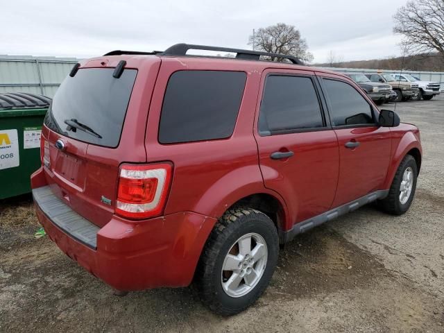 2010 Ford Escape XLT