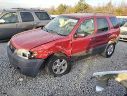 Salvage cars for sale from Copart Memphis, TN: 2007 Ford Escape XLT