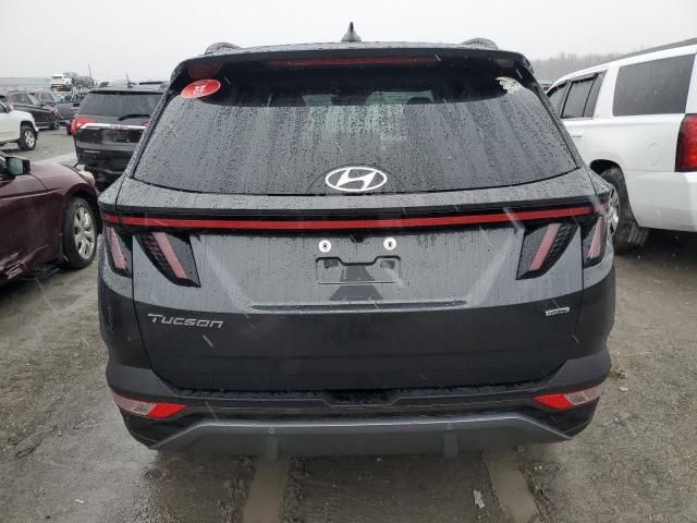 2024 Hyundai Tucson Limited