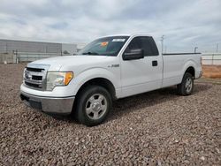 Salvage cars for sale at Phoenix, AZ auction: 2013 Ford F150