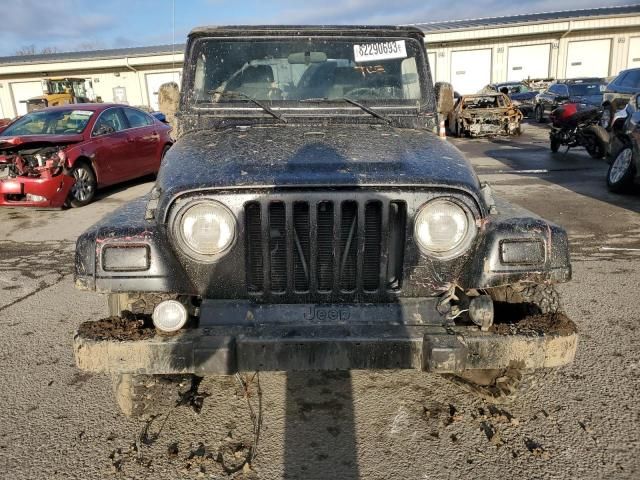 2004 Jeep Wrangler / TJ SE