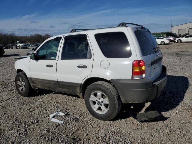 2006 Ford Escape XLT