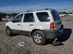 2006 Ford Escape XLT