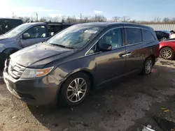 Salvage cars for sale at Louisville, KY auction: 2013 Honda Odyssey EXL