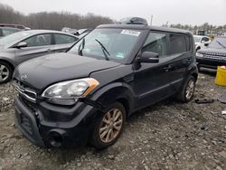 Salvage cars for sale at Windsor, NJ auction: 2012 KIA Soul +