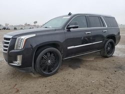 Salvage cars for sale from Copart Bakersfield, CA: 2016 Cadillac Escalade Premium