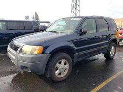 Vehiculos salvage en venta de Copart Vallejo, CA: 2003 Ford Escape XLS